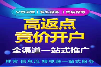 网络推广：竞价排名实战案例分析